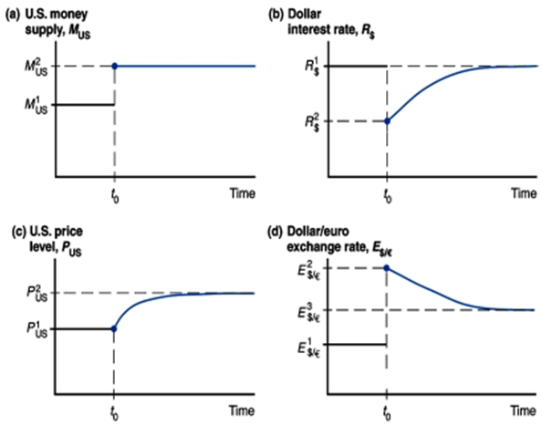 2418_Effects of permanent increase in United States money supply.png